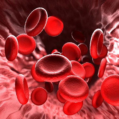 Blood Alcohol Content Analysis using Nitrogen Carrier Gas