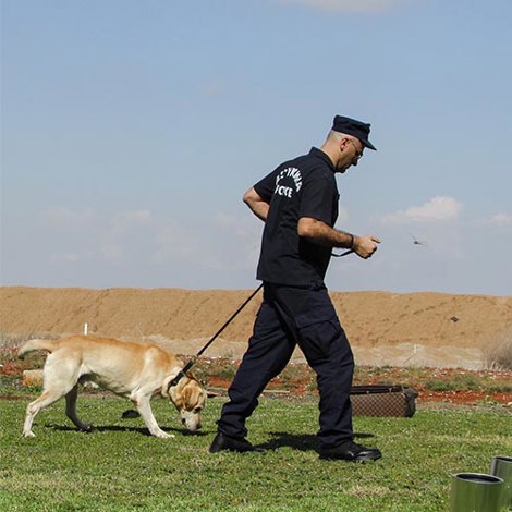 Image of Police officer and K9