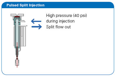 Bruker performance 2
