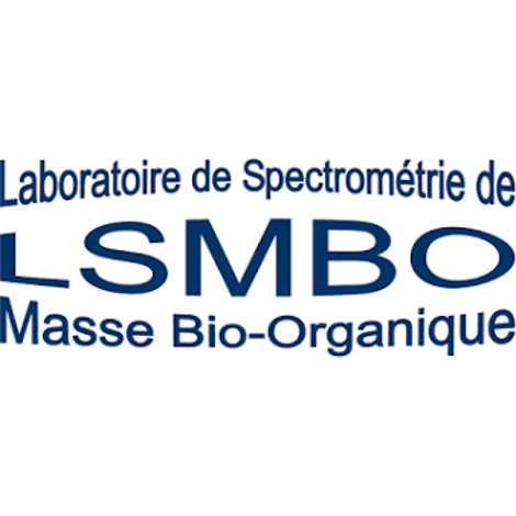 LSMBO Logo