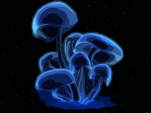 Glowing Mushrooms